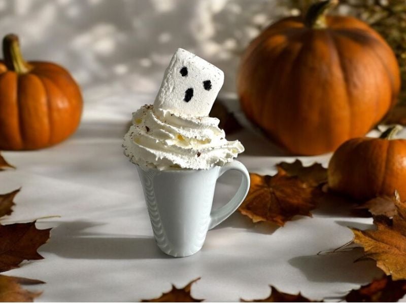 Hot chocolate in a mug with whipped cream and giant marshmallow on top